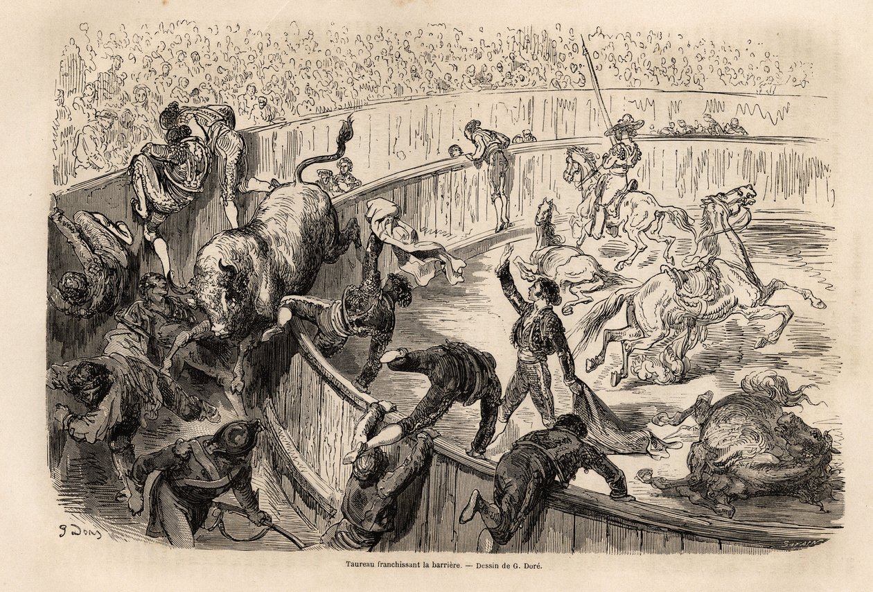 A bull crossing the barrier during a bullfight in Valencia by Gustave Dore