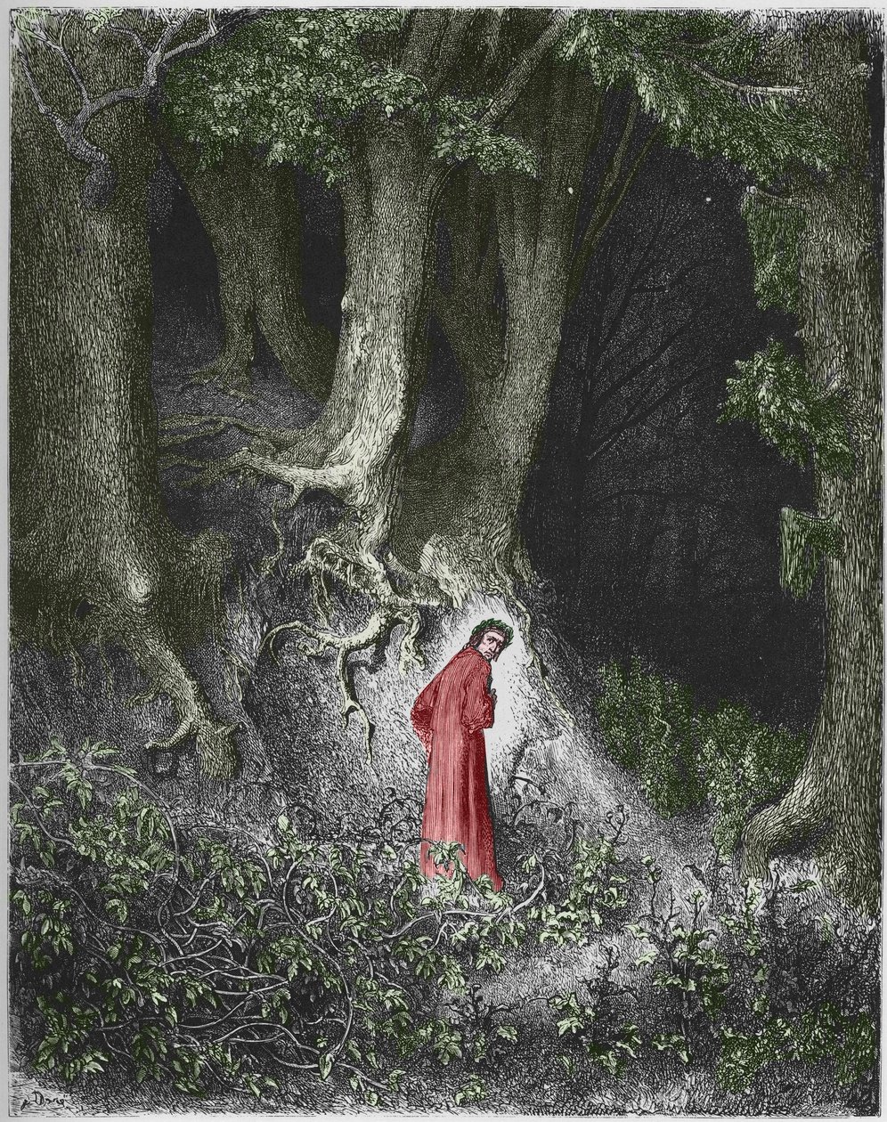 First song of Hell: the poet Dante finds himself in a forest, Illustration by Gustave Dore by Gustave Dore