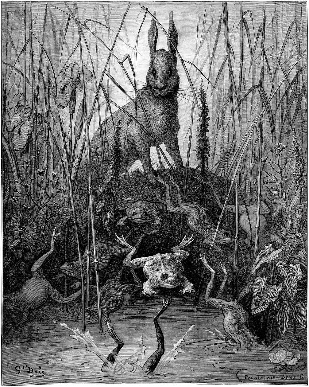 The Hare and the Frogs: Fable by Jean de la Fontaine Illustrated by Gustave Dore by Gustave Dore