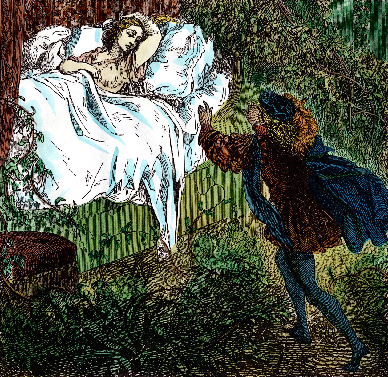 Sleeping Beauty, Prince Charming Approaches the Beautiful Sleeping Princess. Engraving by Gustave Dore for "Les Contes" by Charles Perrault by Gustave Dore