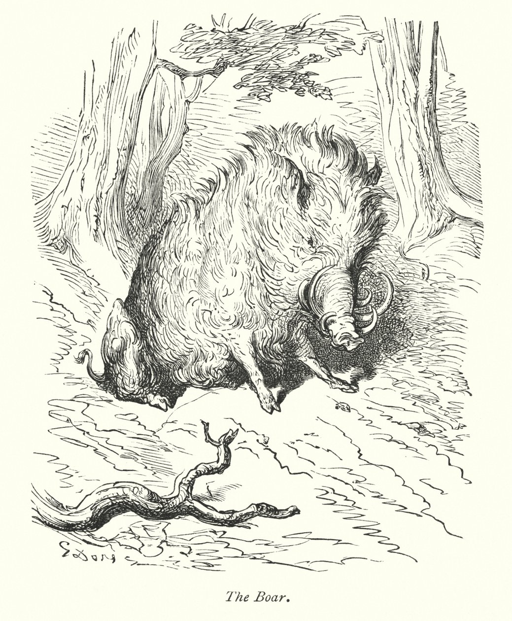 The Boar by Gustave Dore