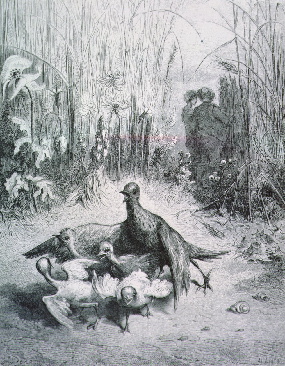 The Fable of the Lark, Her Young Ones and the Master of the Field, Illustration for the Fables of La Fontaine by Gustave Dore
