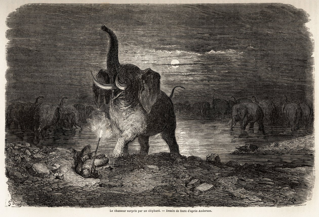The hunter surprised by an elephant, near Lake Ngami, drawing by Gustave Dore, to illustrate the adventures and hunts of Charles Jean Anderson in southern Africa. Engraving in 