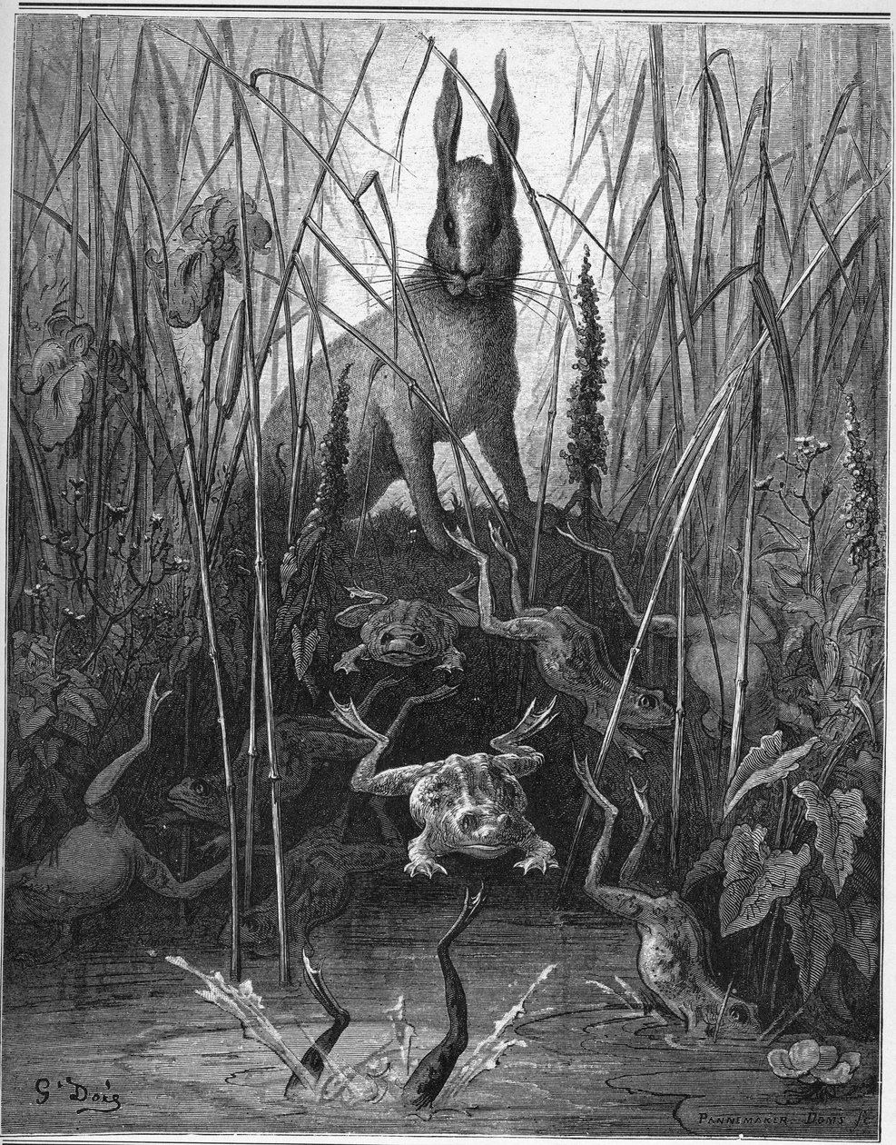 The Hares and the Frogs - from "Fables" by Jean de La Fontaine by Gustave Dore