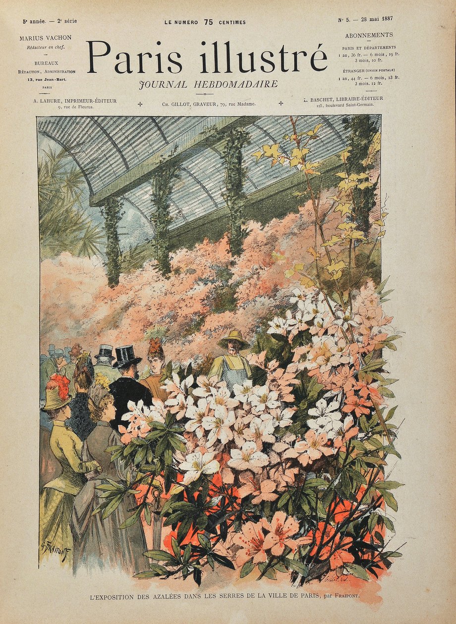 Exhibition of azaleas in the greenhouses of the city of Paris (Serres d