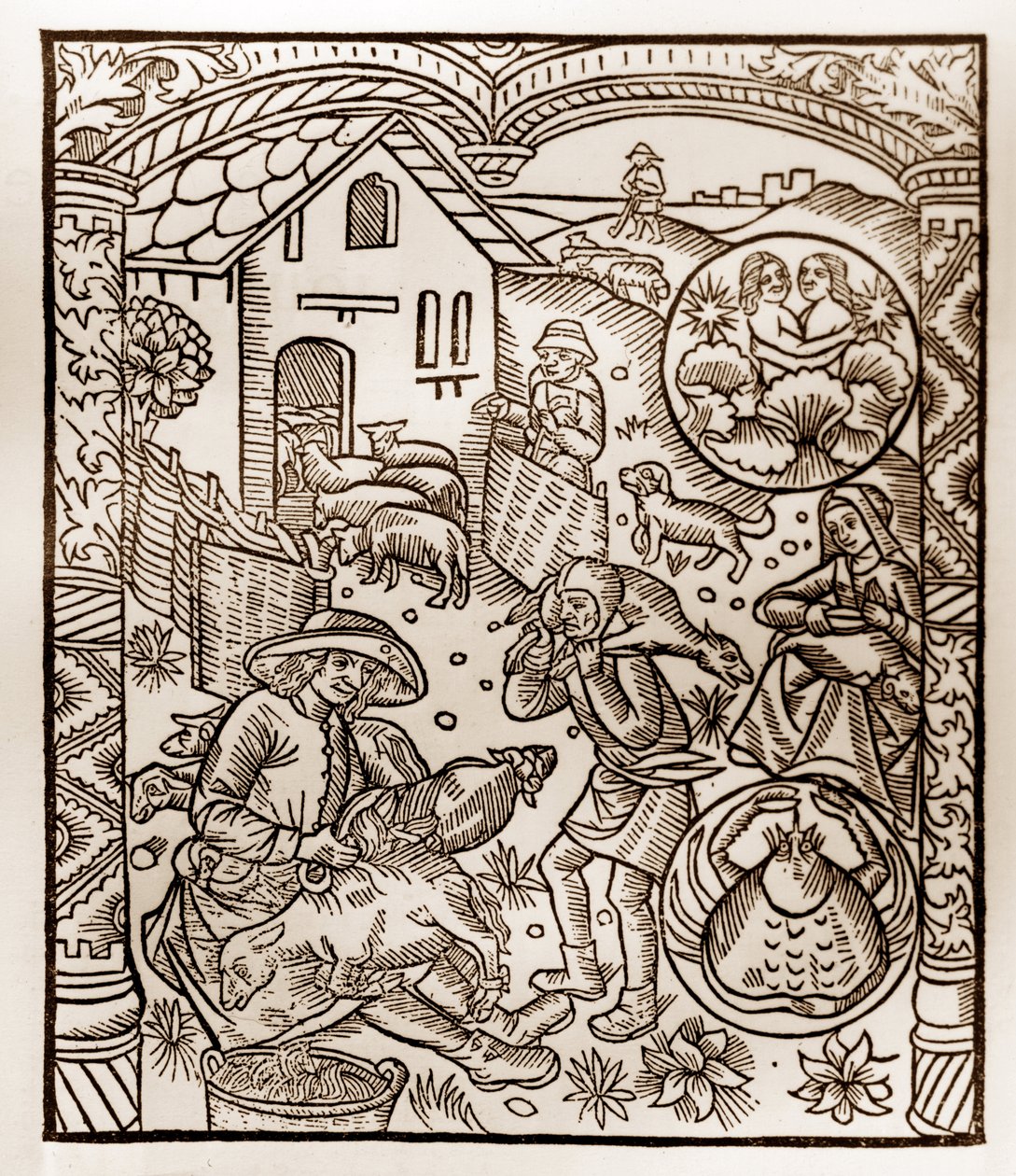 Shepherd