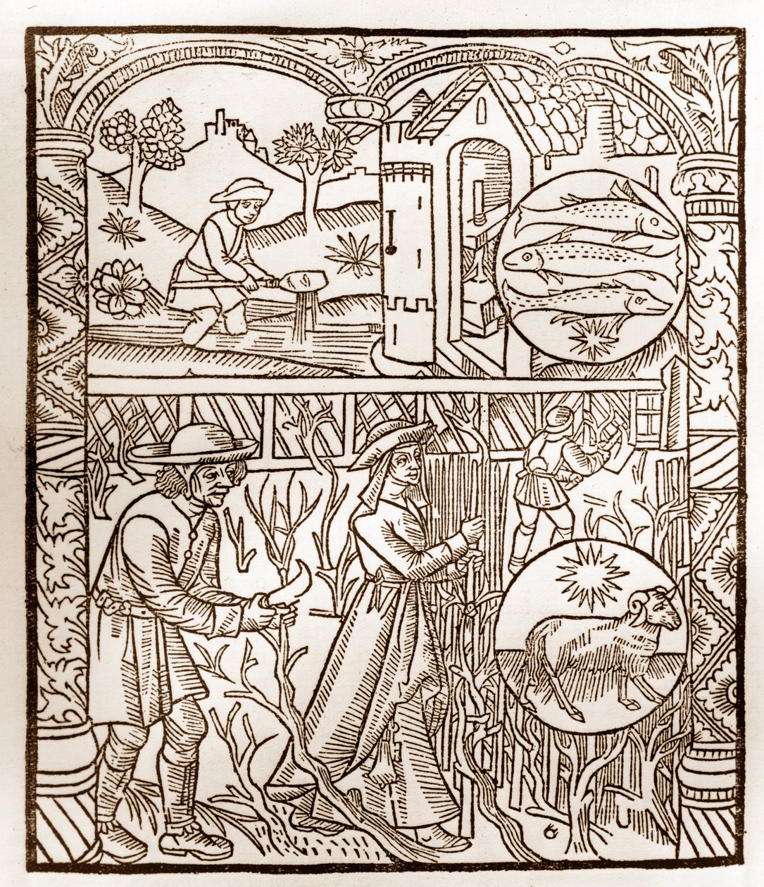 Shepherd