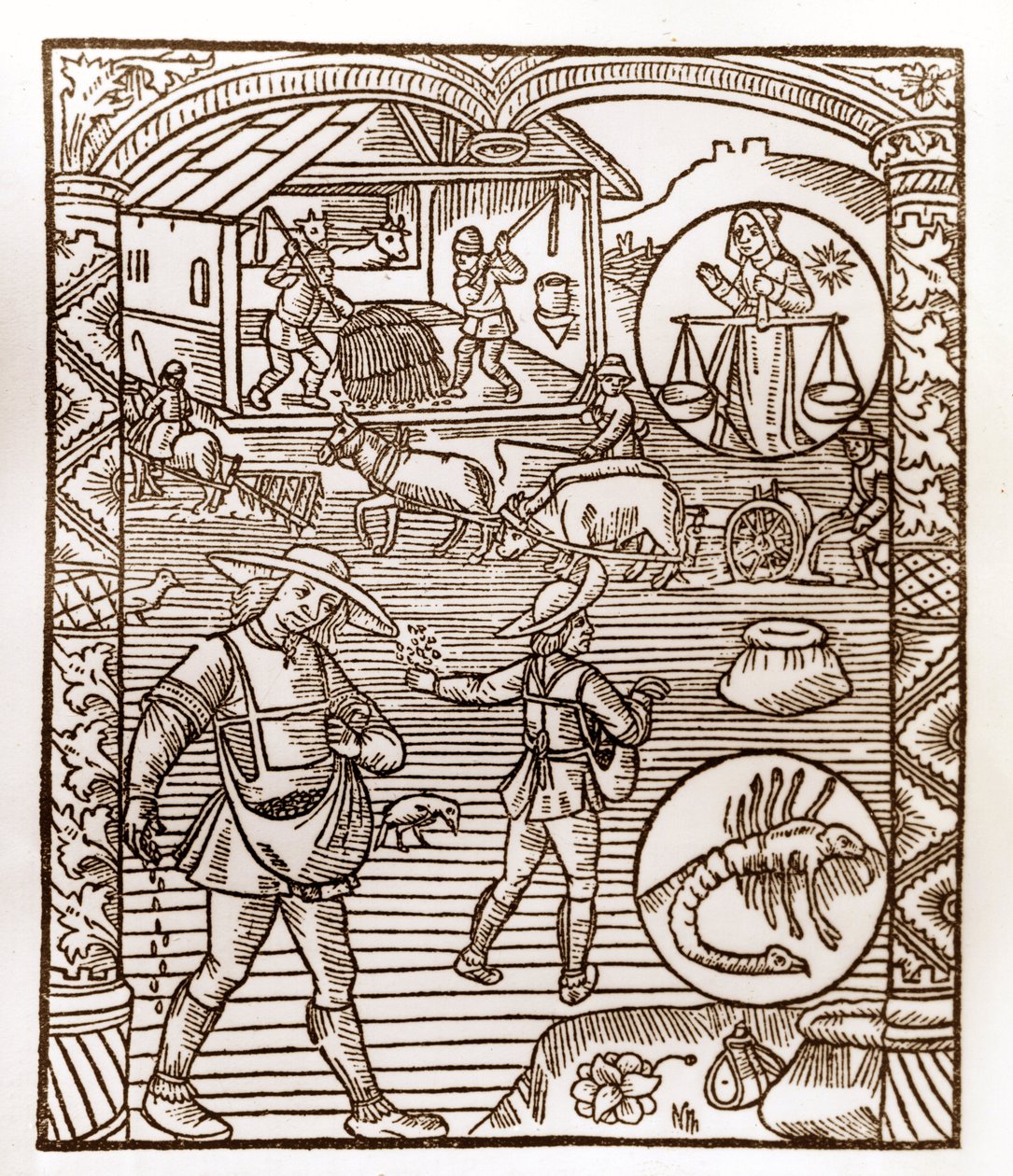 Shepherd