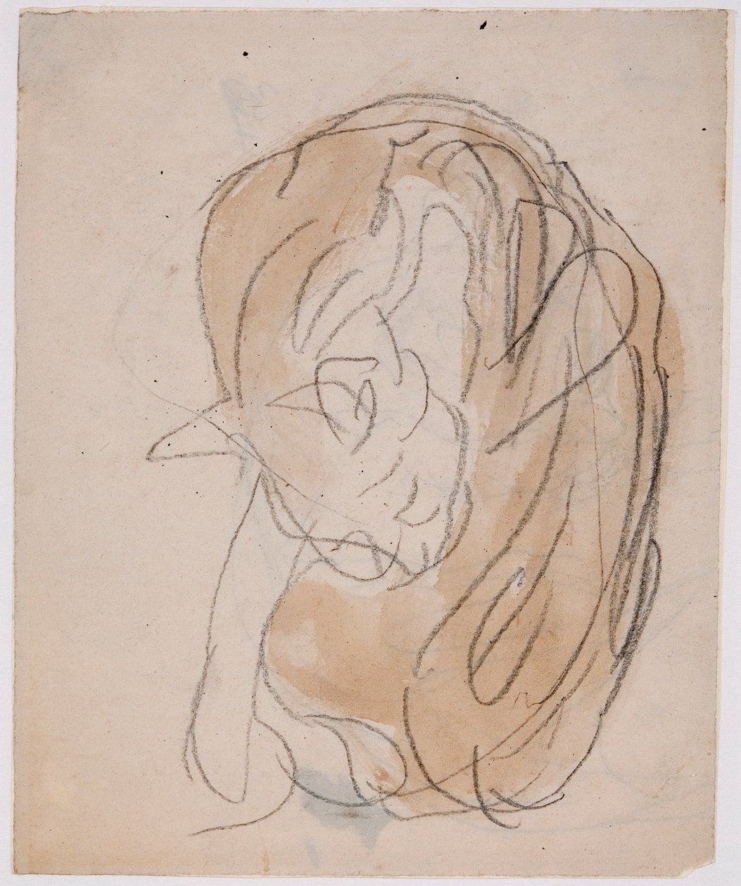 Cat Studies by Gwen John