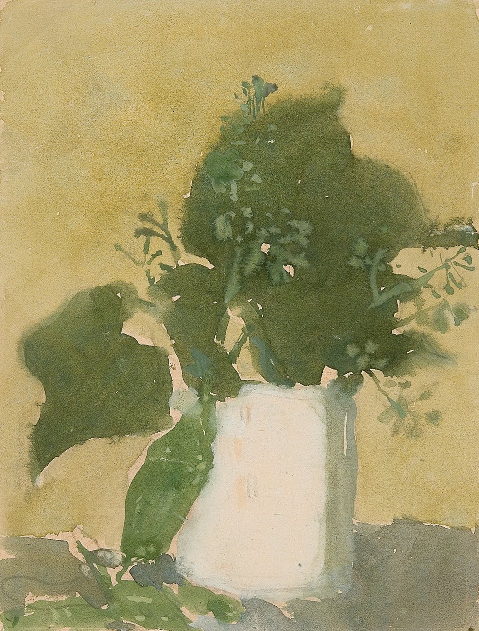 Green leaves in a white jug by Gwen John