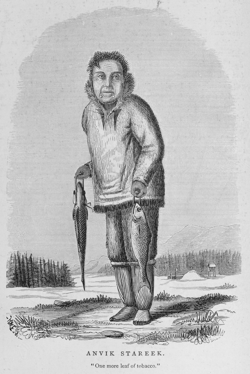 Anvik Stareek or 