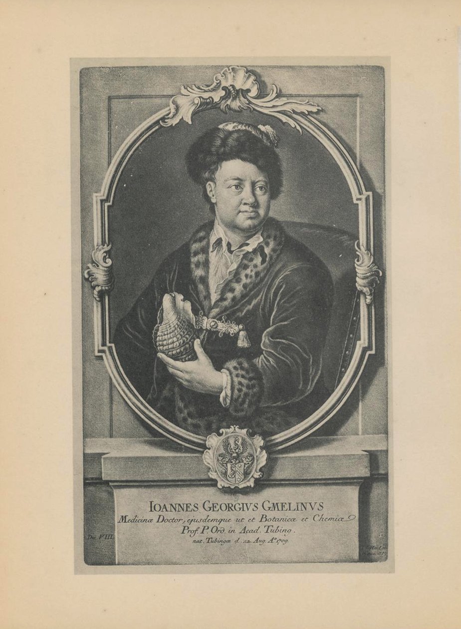 Portrait of the naturalist, botanist and geographer Johann Georg Gmelin 1709-1755, Mid of the 18th century by Haid