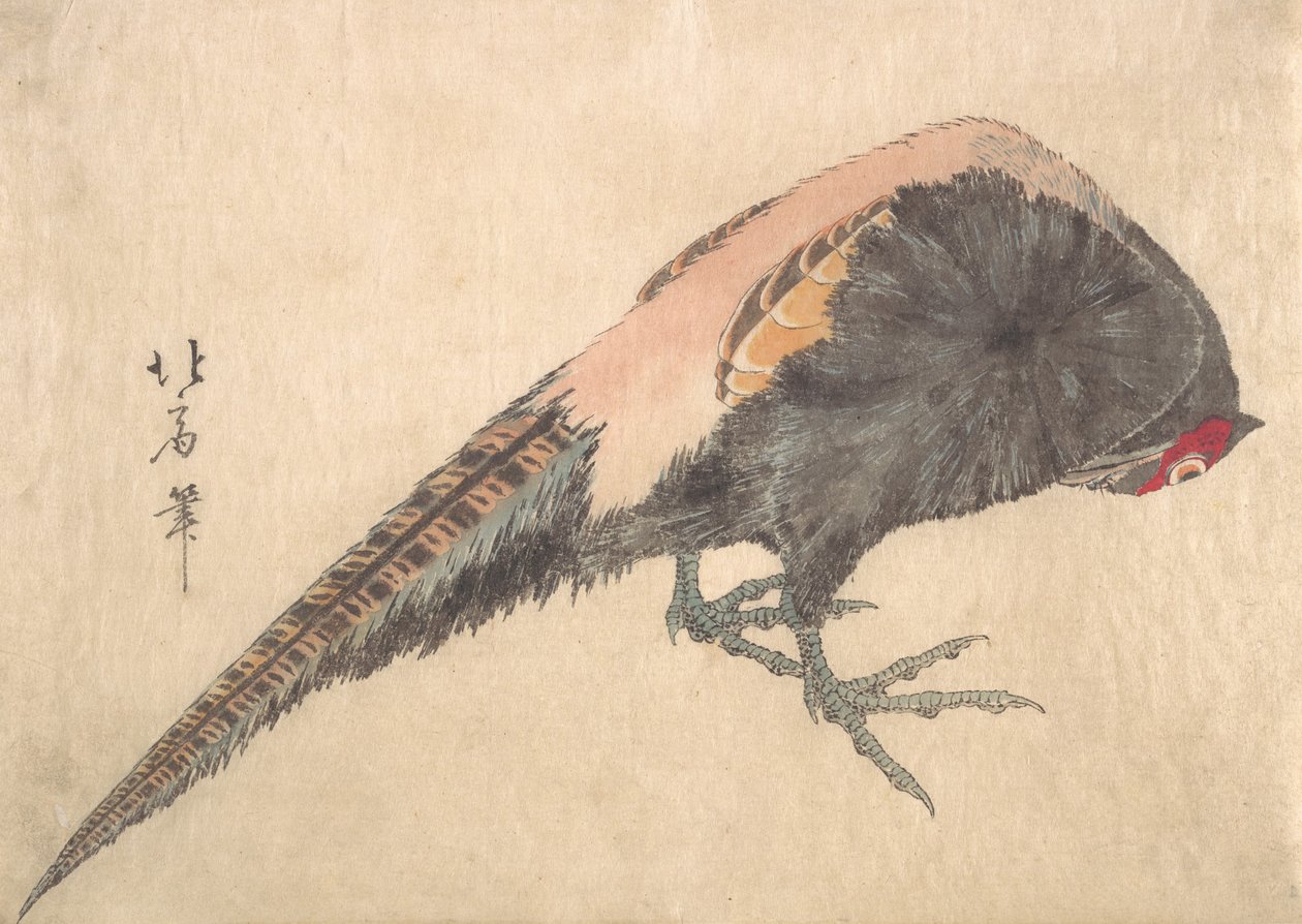 Bird, 1830s by Hakusanjin Hokui