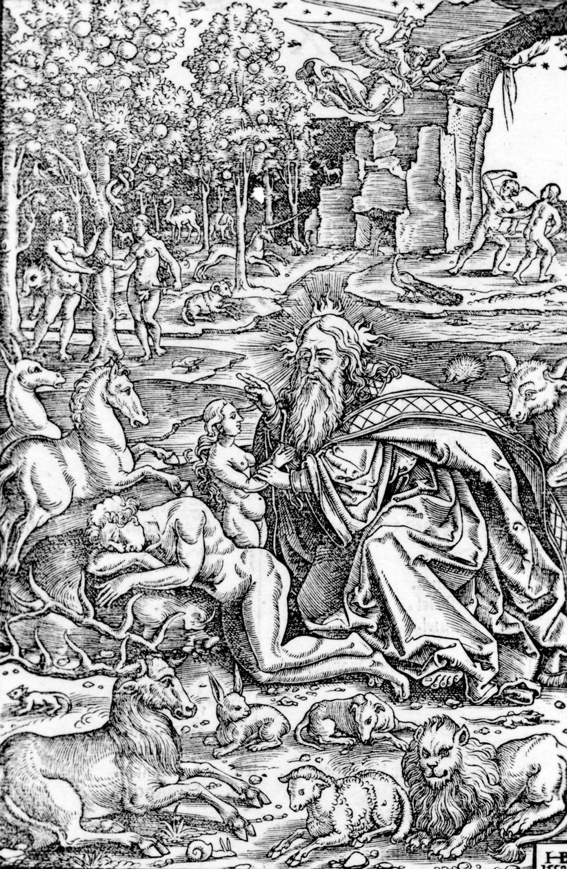 The Creation of Eve, from The Luther Bible, 1550 by Hans Brosamer
