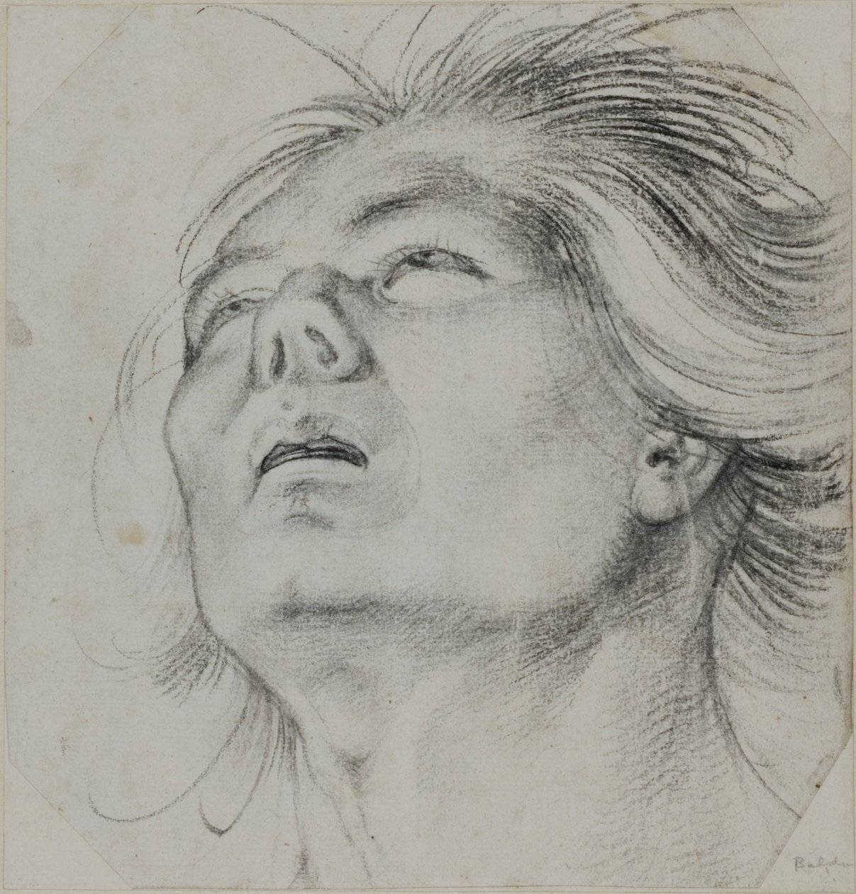 Head of a Young Man, Seen From Below by Hans Baldung Grien