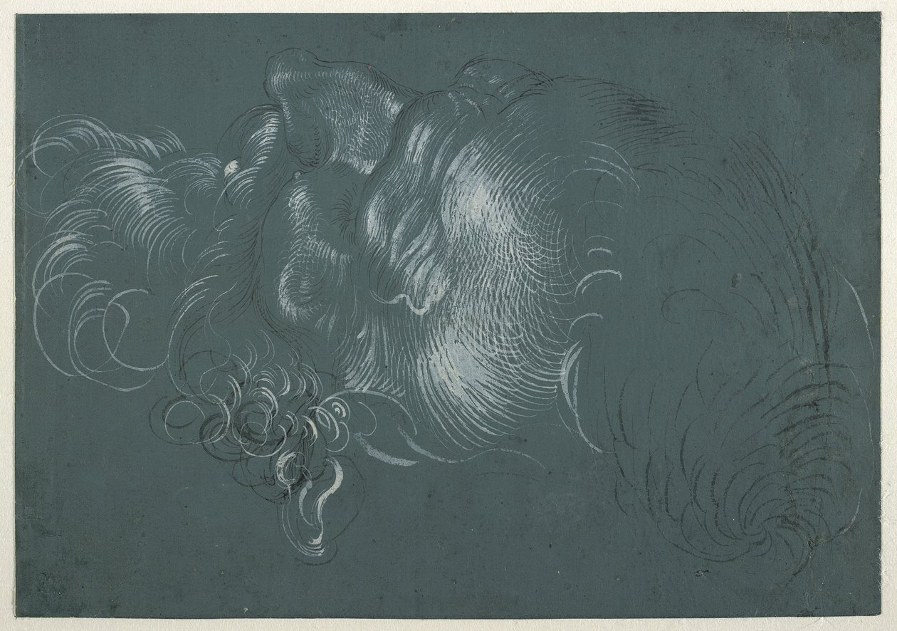 Head of an Apostle, Seen from Above Left by Hans Baldung Grien