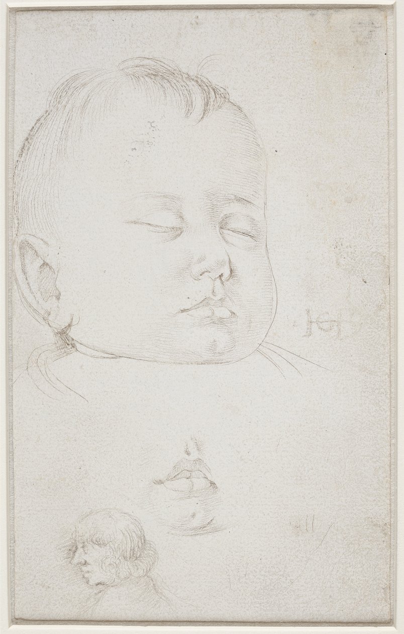 The Head of a Small Boy in Three-Quarter Profile, the Boy