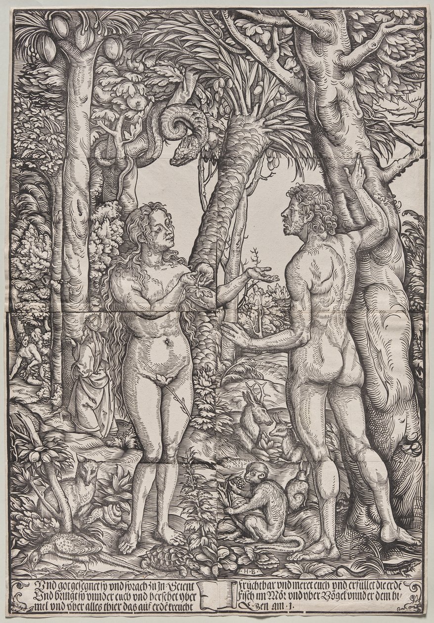 The Fall of Adam and Eve by Hans Burgkmair