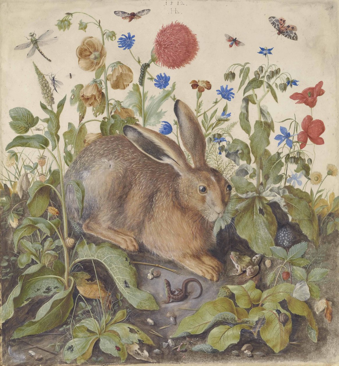 A Hare Among Plants, 1582 by Hans Hoffmann