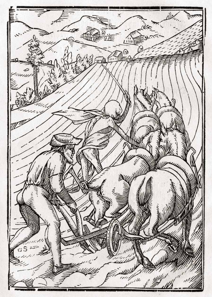 Death comes for the Farmer or Husbandman, engraved by Georg Scharffenberg, from Der Todten Tanz, published Basel, 1843 by Hans Holbein der Jüngere
