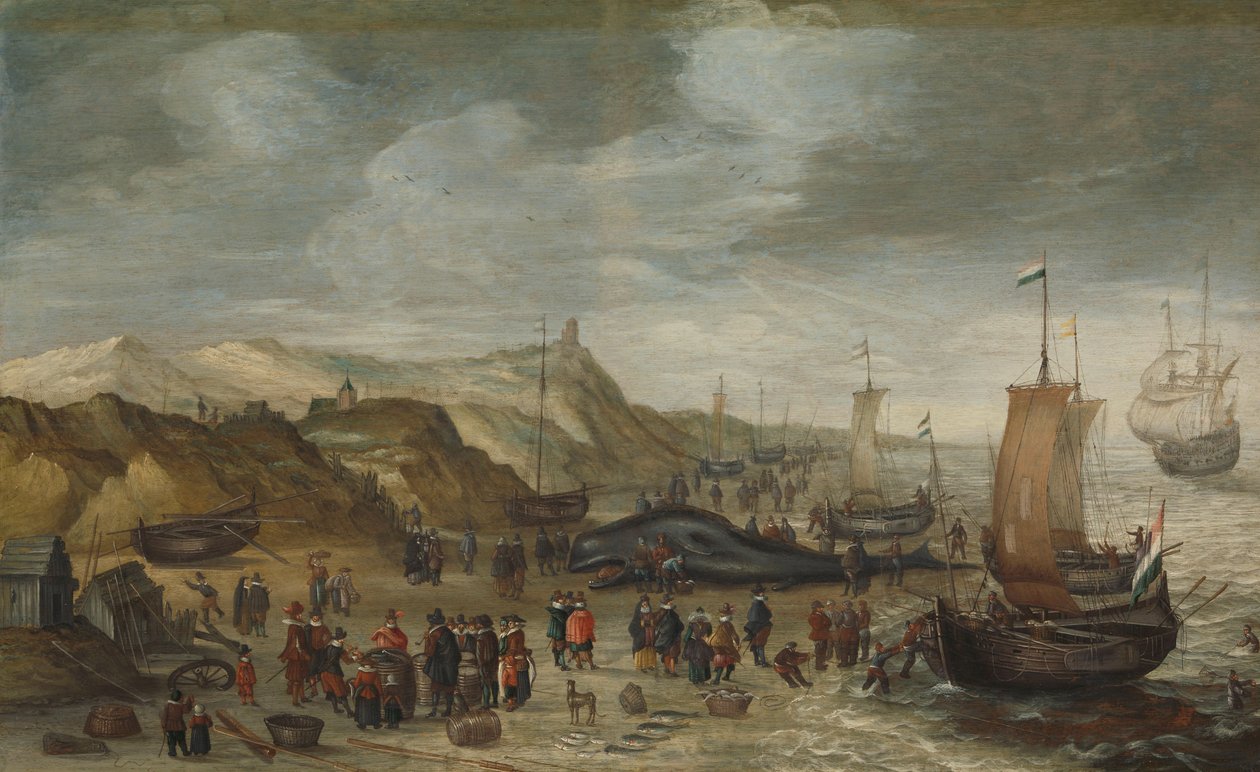 A sperm whale washed up on the beach at Noordwijk, 28 December 1614 by Hans I Savery