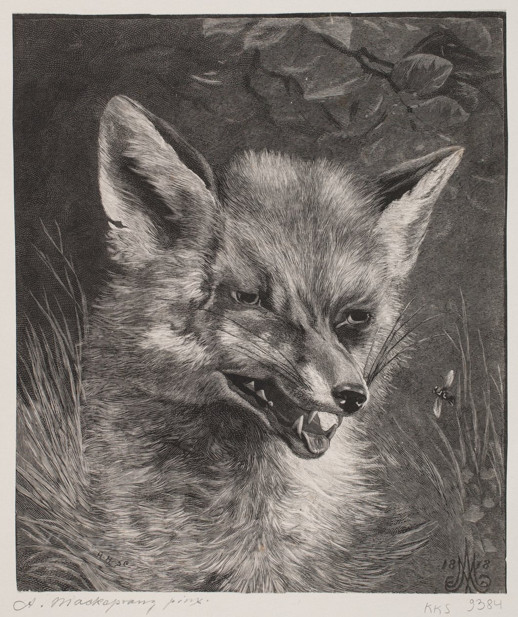 Head of a Fox by Hans Peter Hansen