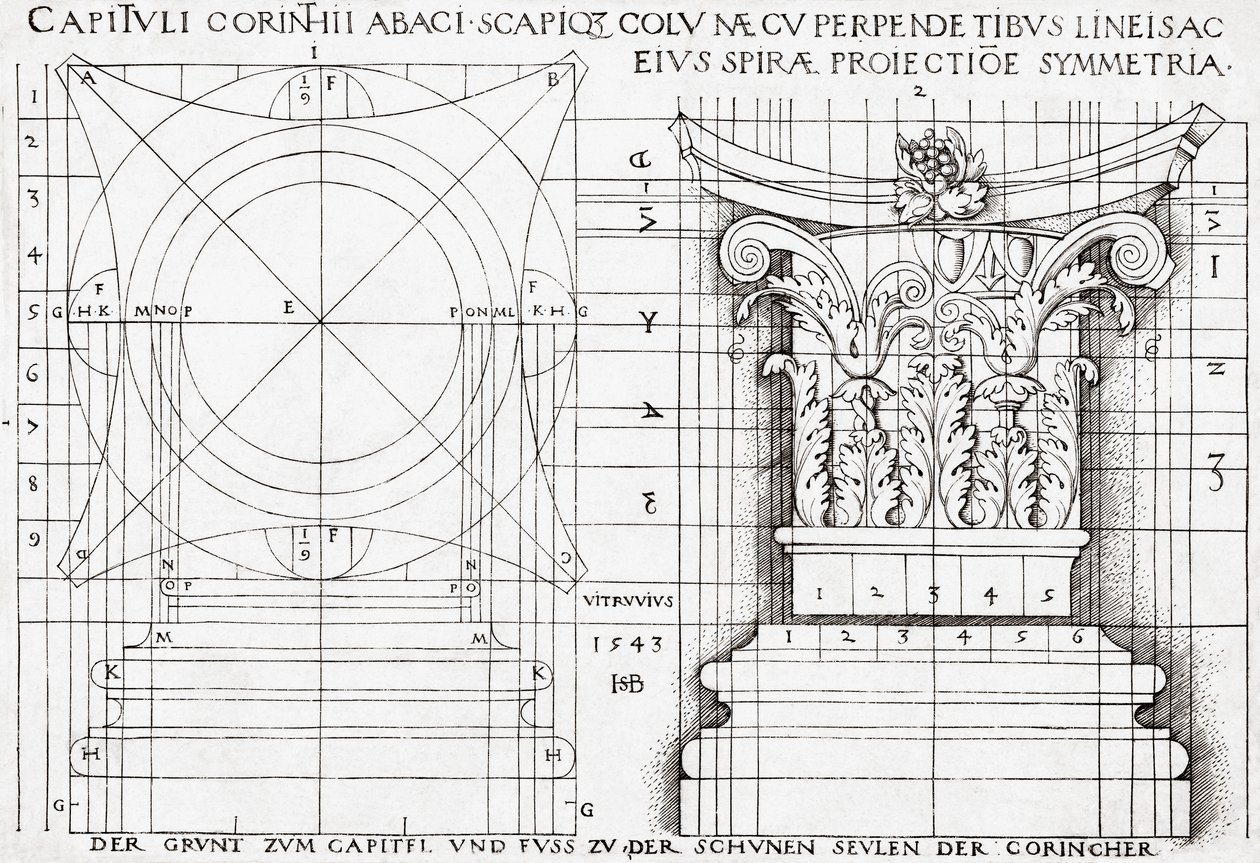 Cross section of Corinthian capital and proportional drawing by Hans Sebald Beham