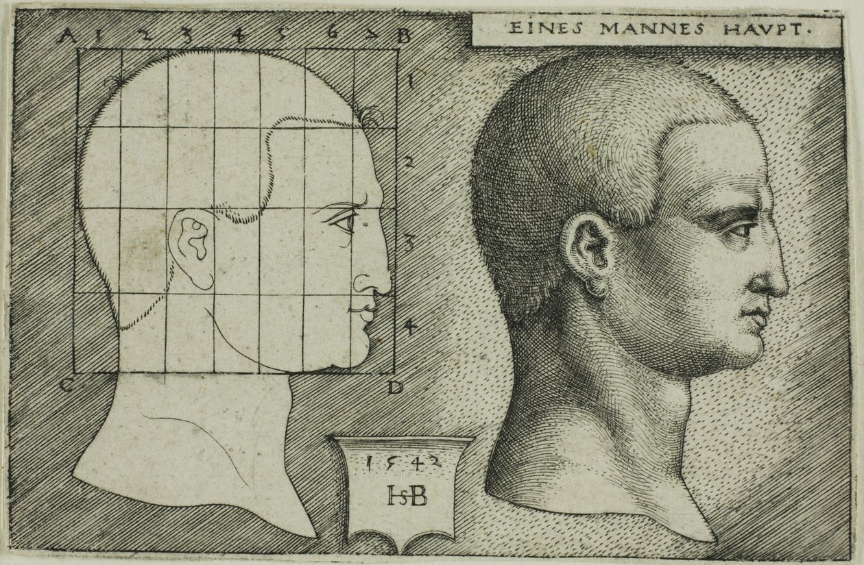 Profile Study of Man