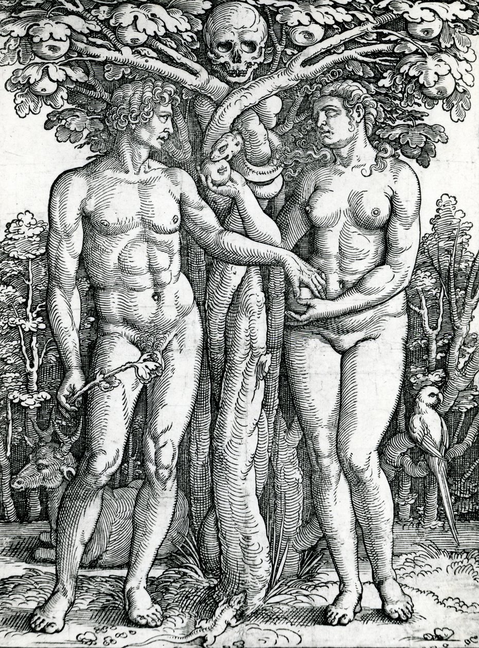 The Fall of Adam and Eve, c.1525-27 by Hans Sebald Beham