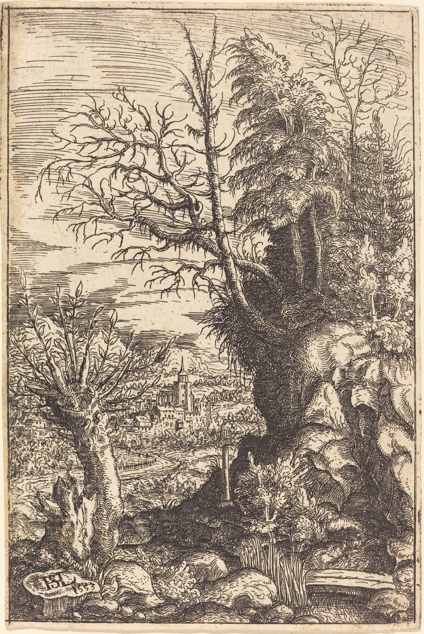 Landscape with a Willow by Hans Sebald Lautensack