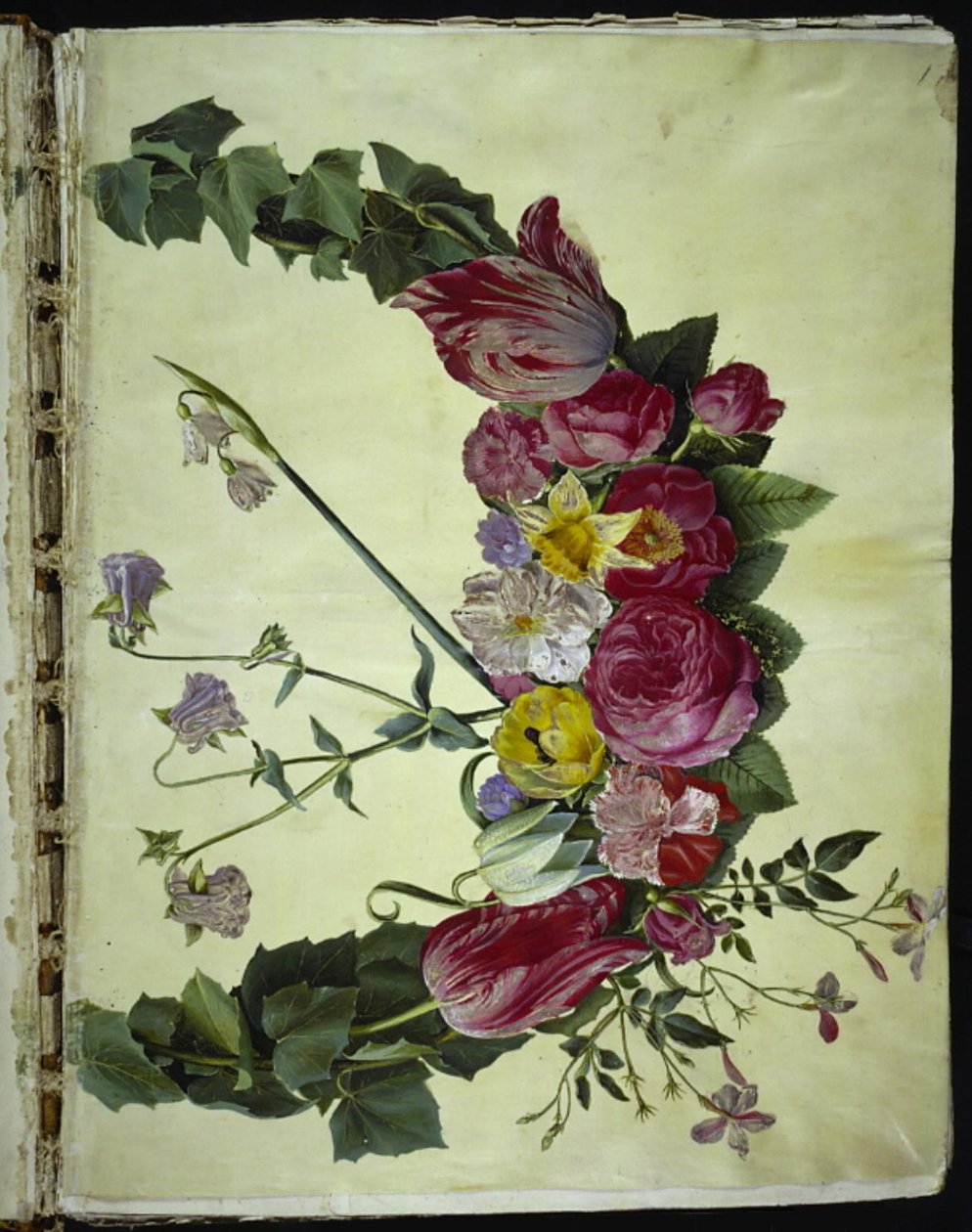 Flower Wreath by Hans Simon Holtzbecker