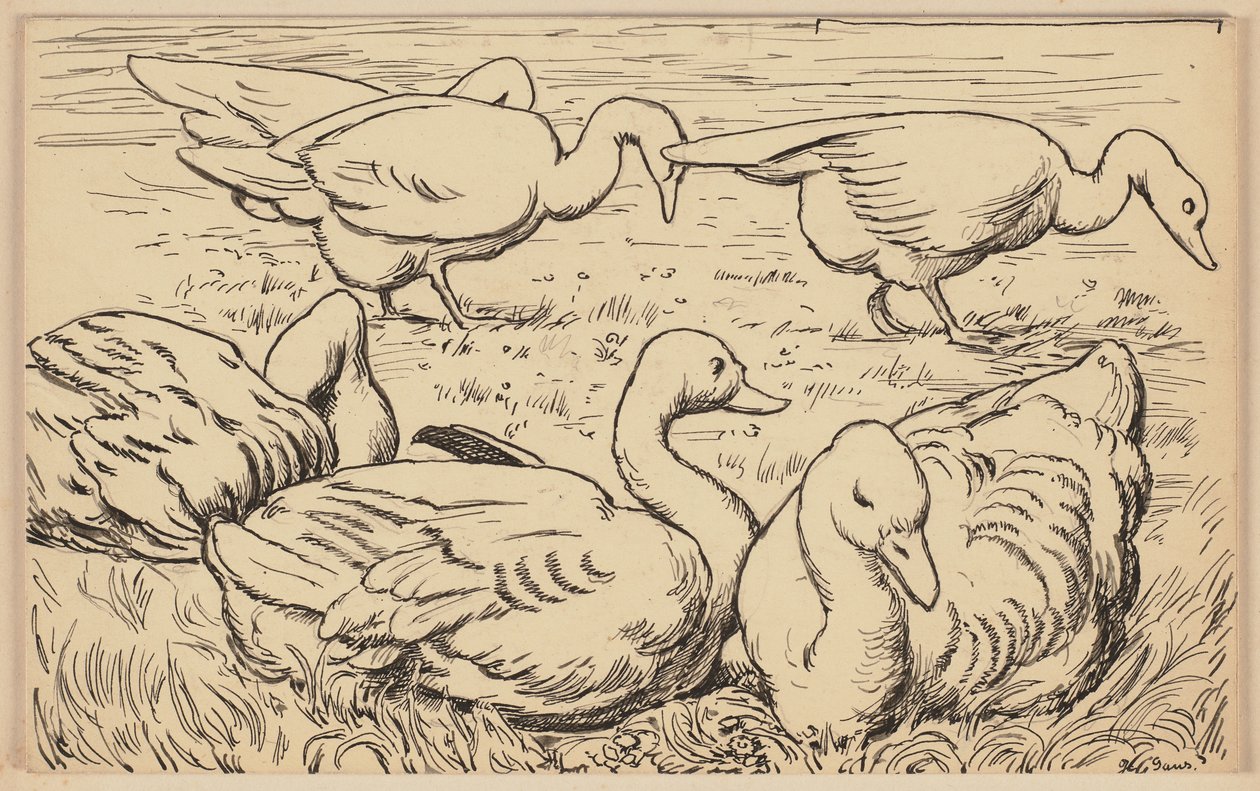 Drawing for the Primer: Goose by Hans Thoma