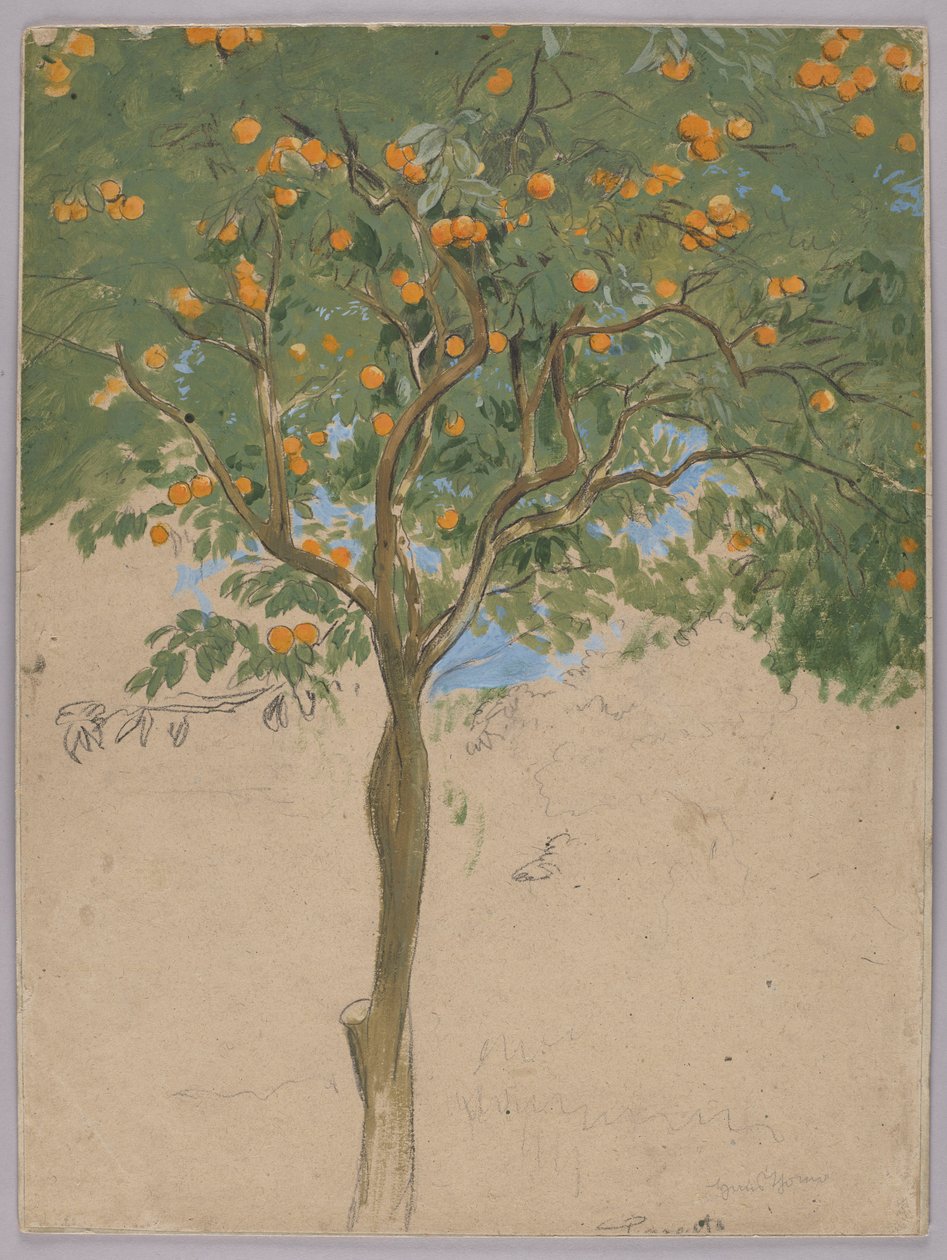 Orange Tree by Hans Thoma