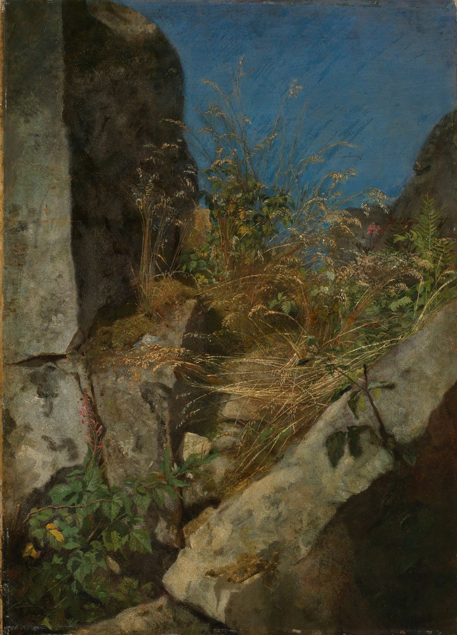 Grasses Between Rocks by Hans Thoma