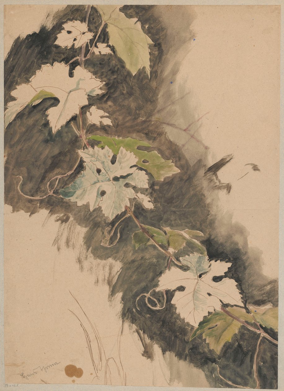Study of Grapevines by Hans Thoma