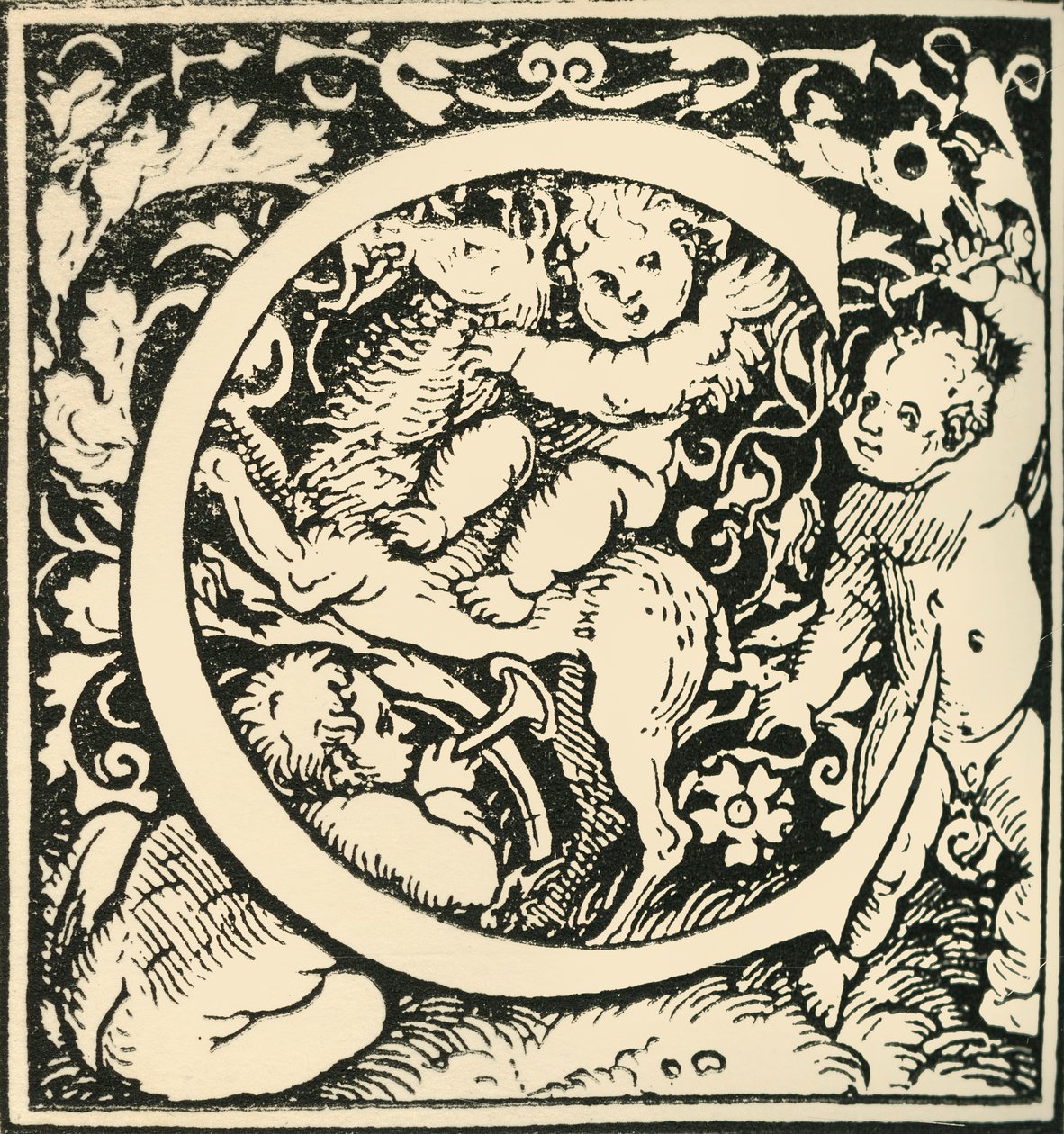 C - An Alphabet by Hans Weiditz by Hans Weiditz