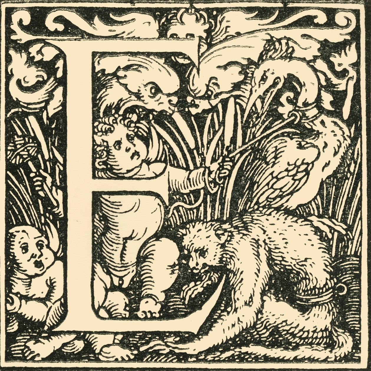E - An Alphabet by Hans Weiditz by Hans Weiditz