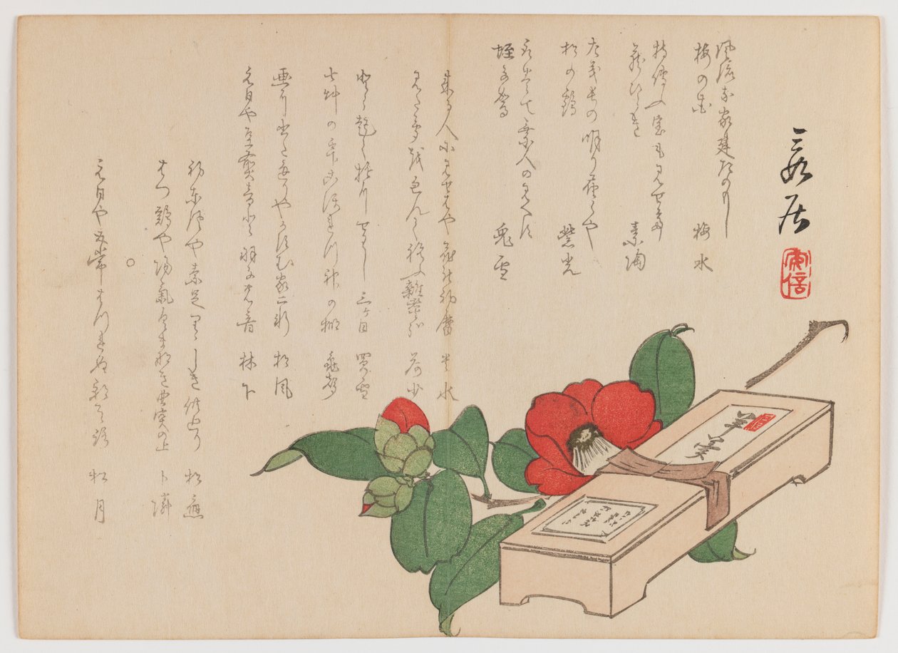 Camellia with Sweets Box (Yokan) by Hanzan Matsukawa