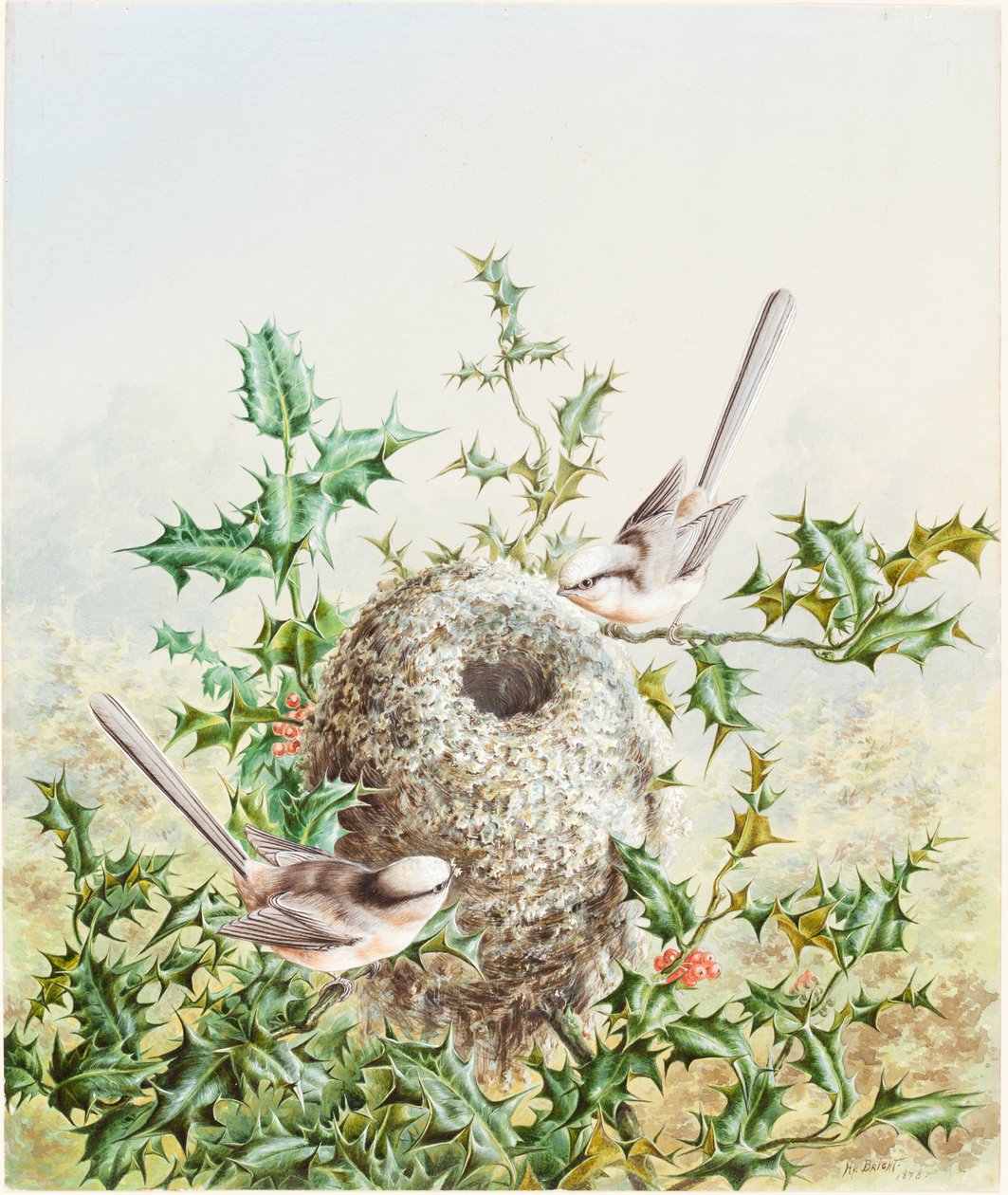 Coral Buntings and Their Nest in a Holly Tree by Harry Bright