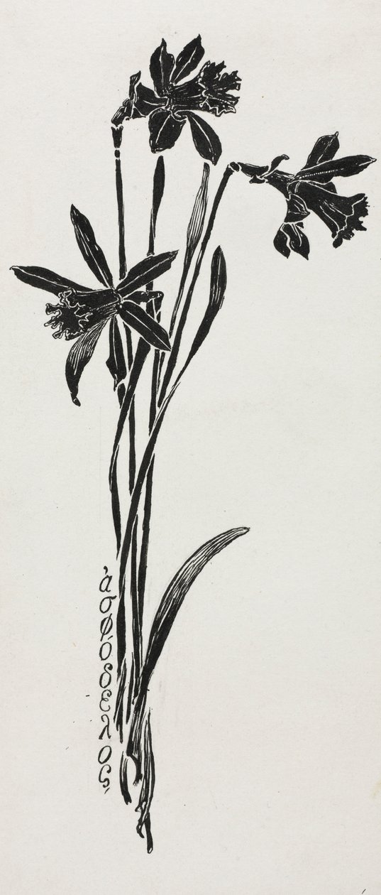Daffodils by Harry Fenn