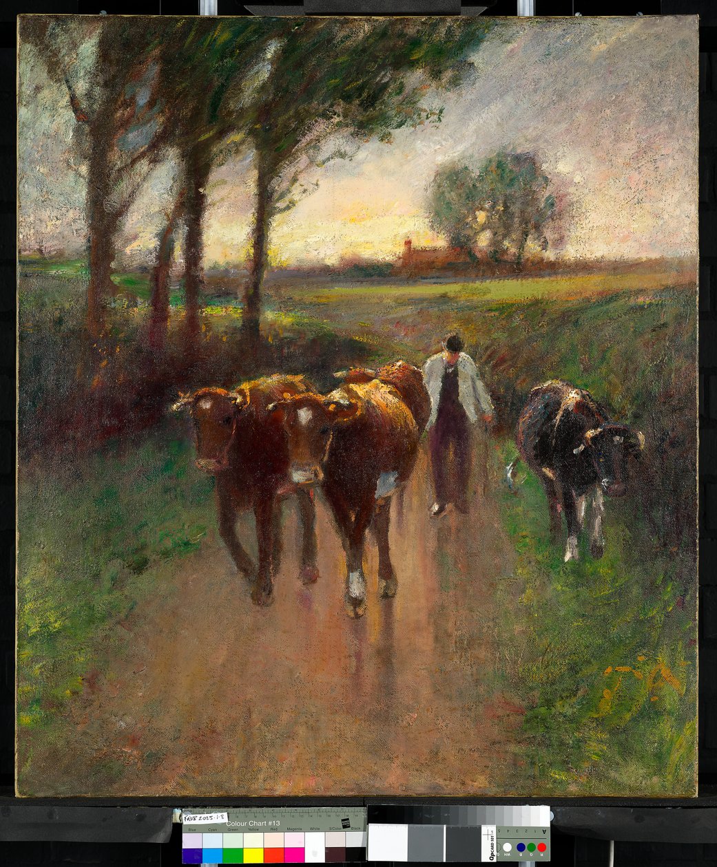 Herding Cows to Pasture by Harry Fidler