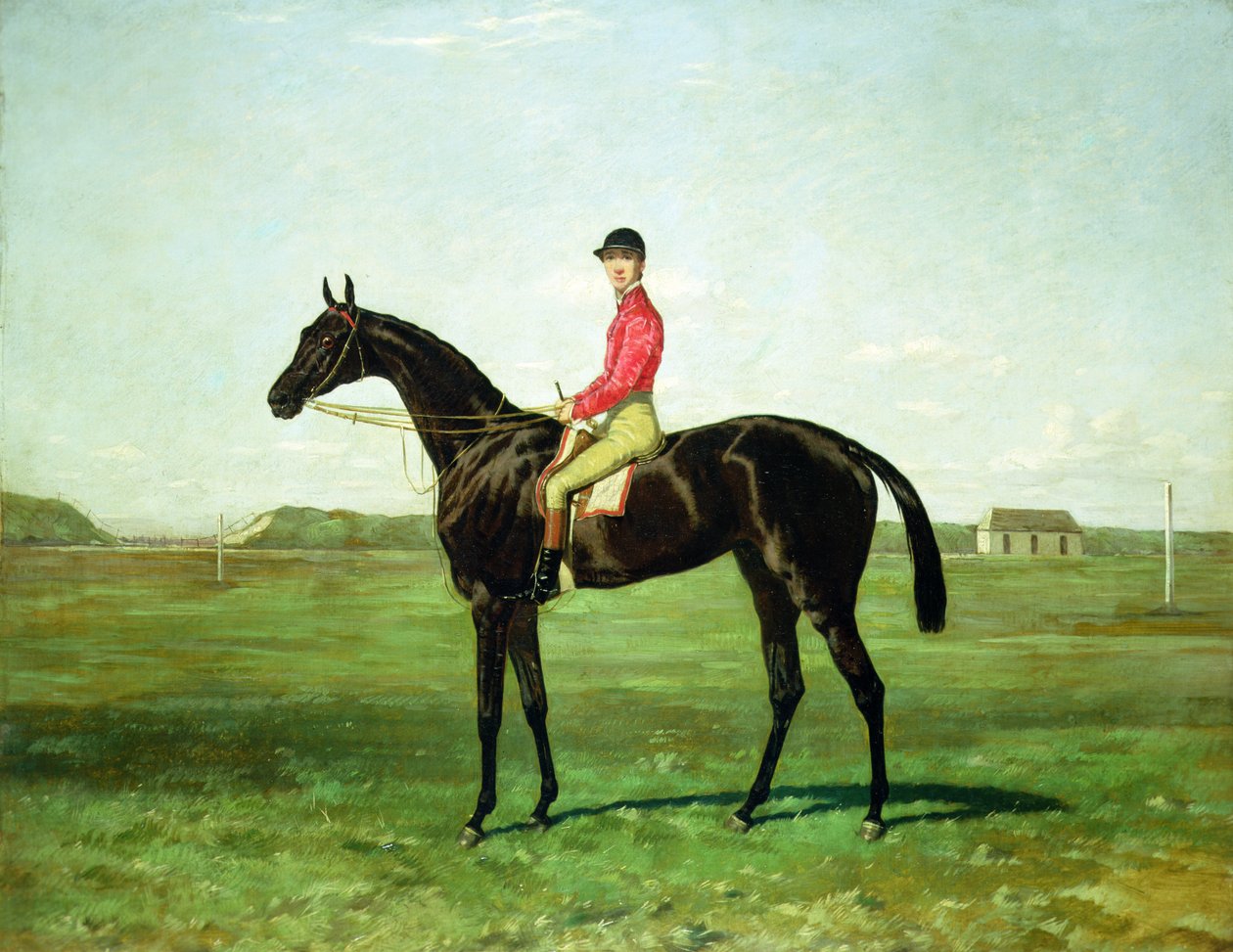 A Race Horse with a Jockey on the Racetrack at Newmarket by Harry Hall