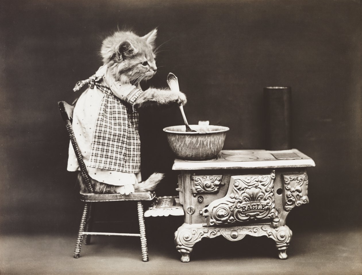 Kitties Series: Cook at the Stove, c.1914 by Harry Whittier Frees