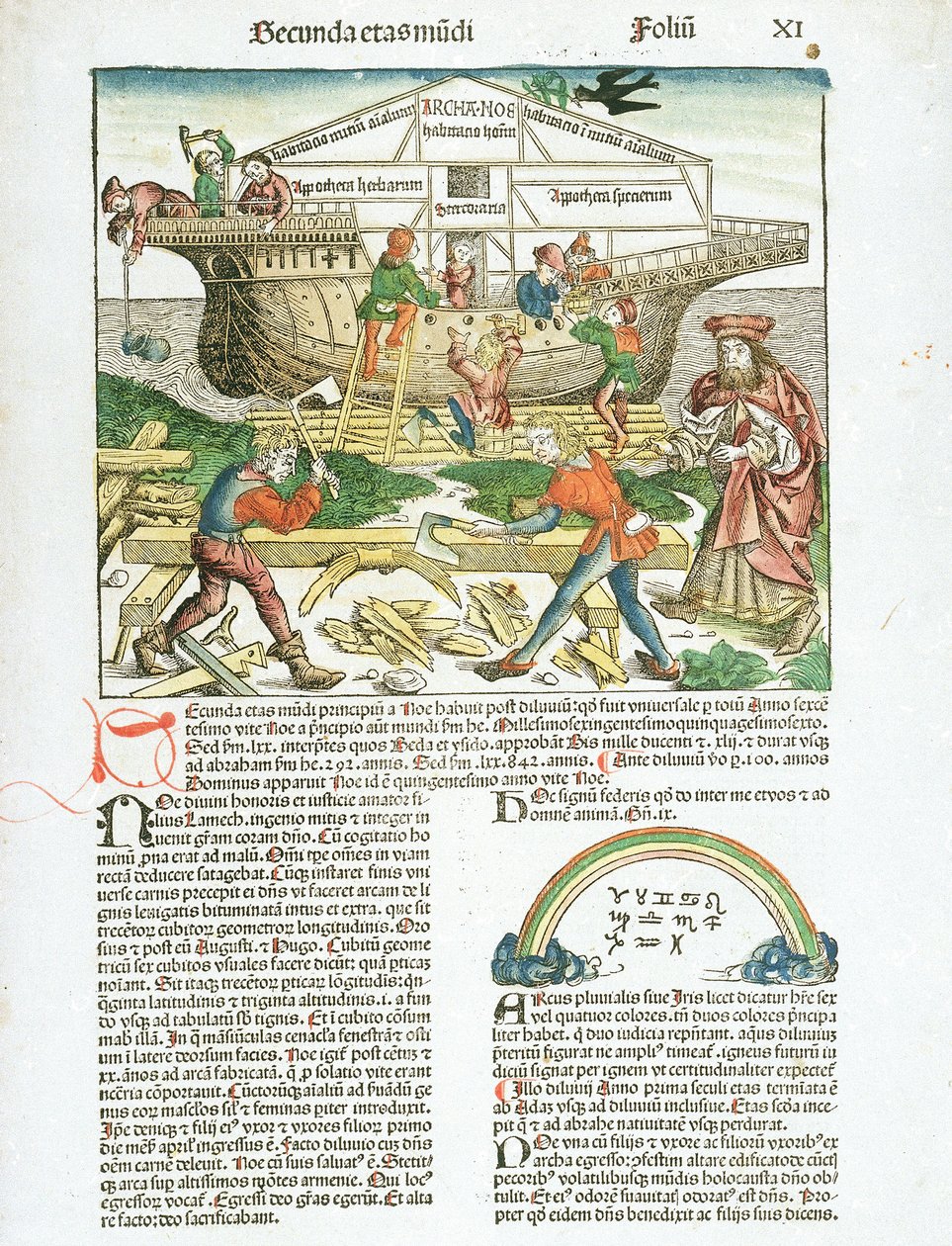 The Construction of Noah