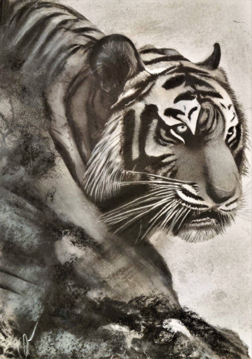 Tiger on the Hunt by HaskellArt