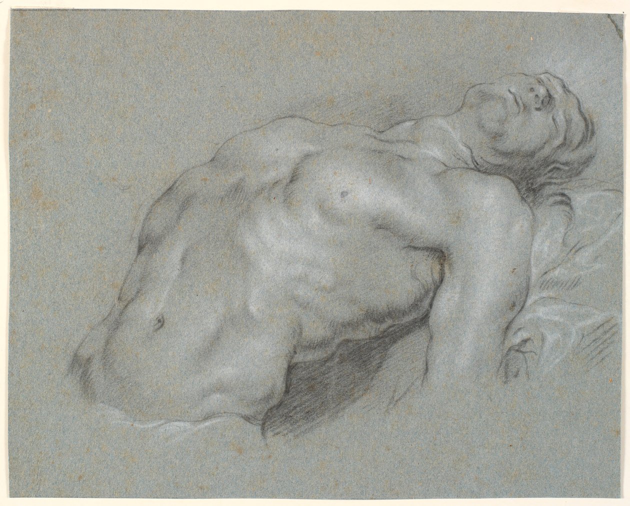 Upper Body of a Strongly Reclining Male Model by Heinrich Dittmers