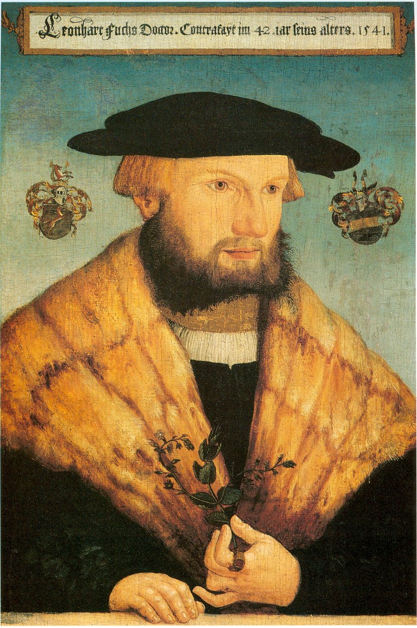 Portrait of Leonhart Fuchs (1501-1566) by Heinrich Füllmaurer