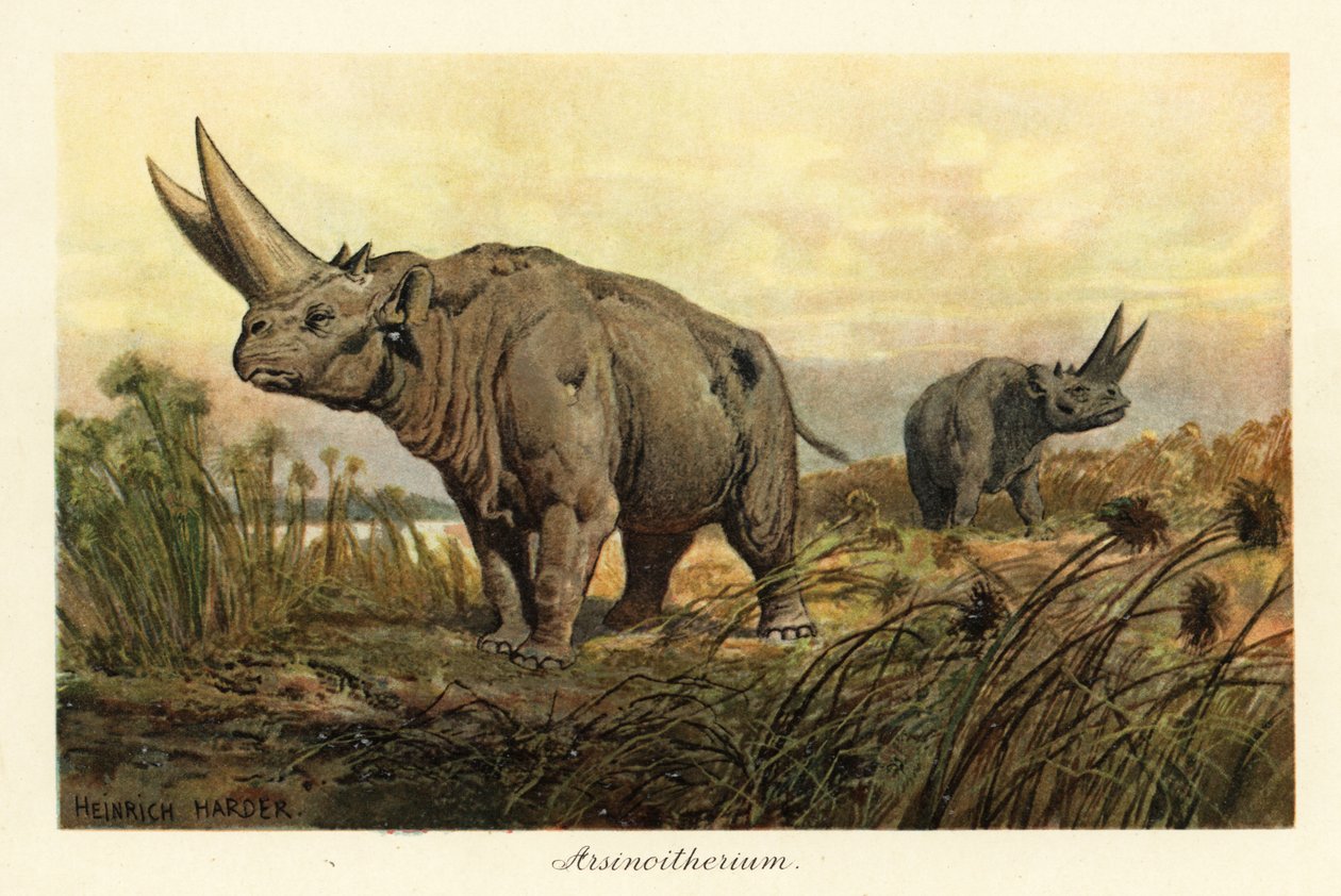 Arsinotherium, extinct genus of paenungulate mammal by Heinrich Harder
