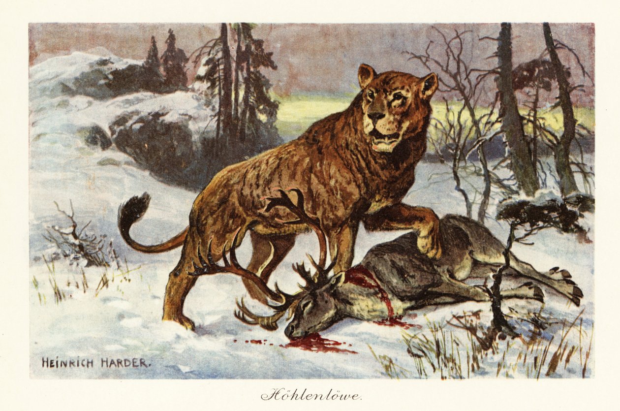 Eurasian cave lion, Panthera spelaea by Heinrich Harder