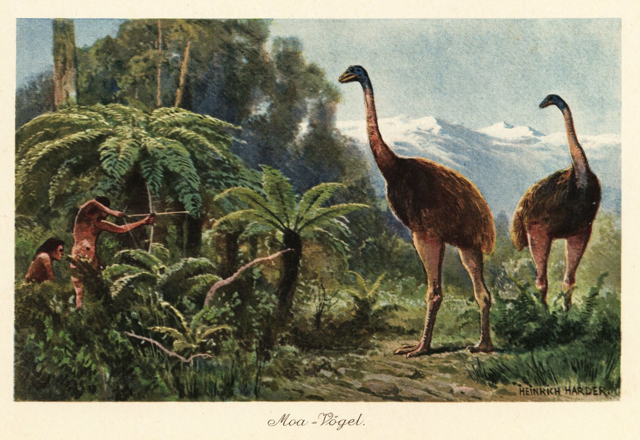 Moa Birds Being Hunted by Men with Bows and Arrows by Heinrich Harder